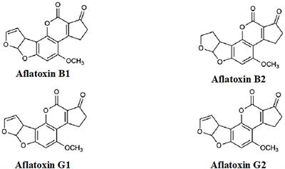 Does Cannabis Extract Obtained From Cannabis Flowers With Maximum Allowed Residual Level of Aflatoxins and Ochratoxin a Have an Impact on Human Safety and Health?